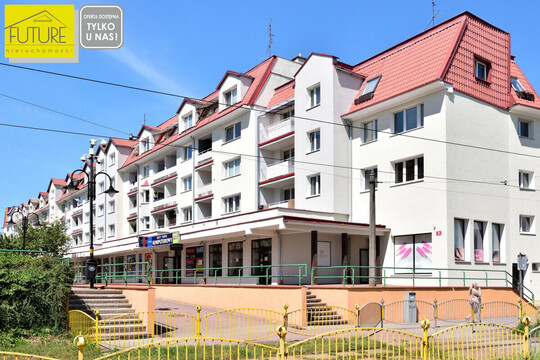 FUTURE NIERUCHOMOŚCI Sprzedam lokal komercyjny - Elbląg, 