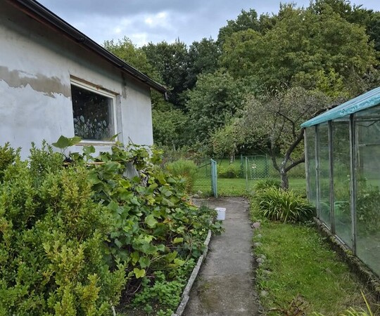 Działka ROD Słoneczne Wzgórze 450 m&sup2; &ndash; odstąpię 
