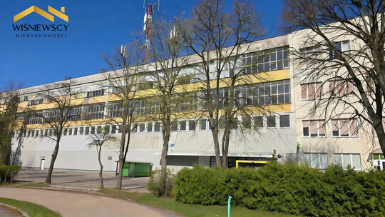 WIŚNIEWSCY NIERUCHOMOŚCI Sp. z o.o. Wynajmę lokal użytkowy 