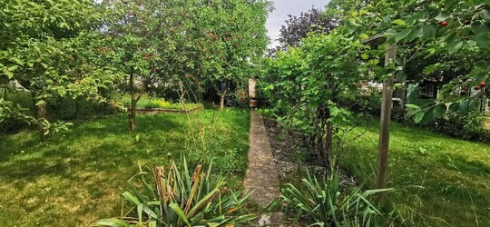 🌳 Działka ROD przy ul. Dąbrowskiego w Elblągu 