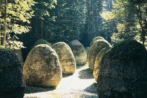 Litwini o Magdalenie Abakanowicz