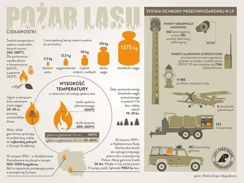 Bezpieczniej pod okiem kamery (Opowieści z lasu, odc.119)