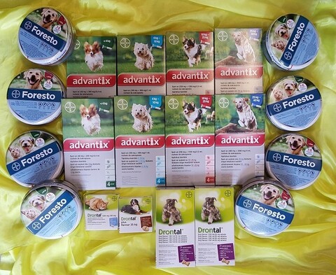 Chroń swoje pupile przed kleszczami