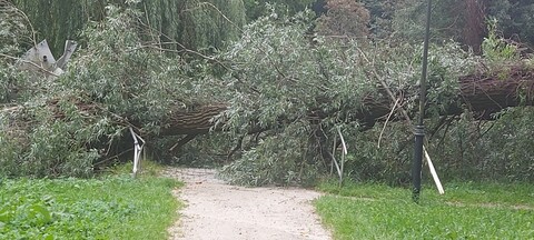 Czytelniczka: O włos od tragedii 