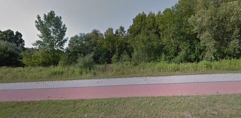5 hektarów na Modrzewinie pod młotek