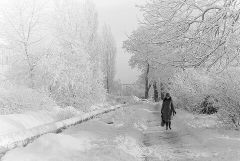 Elbląg podczas Grudnia 1970 w obiektywie (Elbląskie Archiwum Foto)