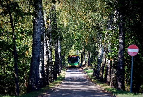 Elbląska komunikacja miejska w obiektywie elblążan. Wyniki