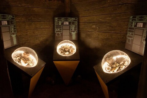 Muzeum otwiera podwoje po remoncie