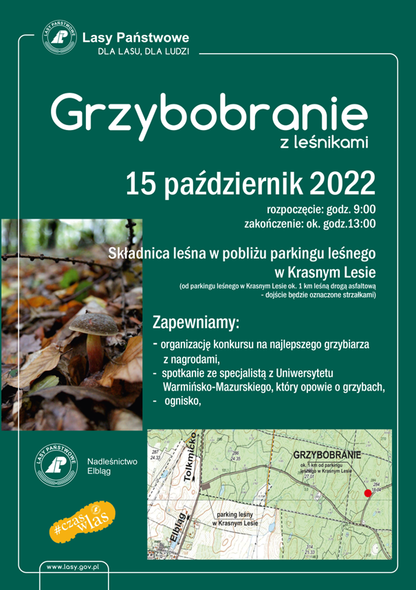 Grzybobranie z leśnikami