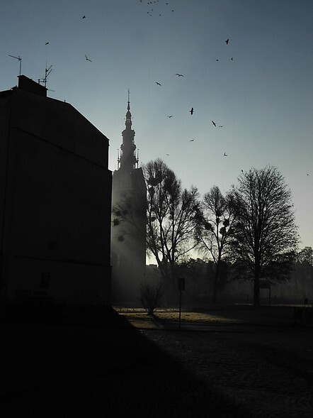 Historia elbląskich ulic: Mostowa w cieniu katedry ( odcinek 38)