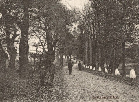 Historia okolic Elbląga: Godkowo i Piele (odc. 62) 