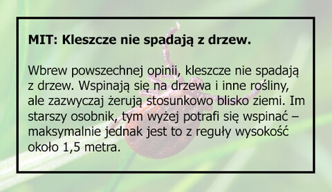 Jak chronić się przed kleszczami. Czego użyć podczas wycieczki do lasu. Podpowiadamy!
