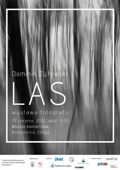 Las. Fotograficzna wystawa w muszli koncertowej