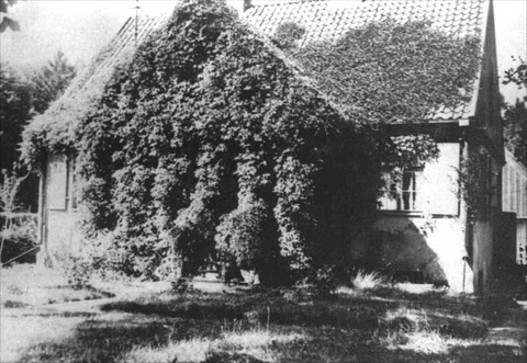 Historia okolic Elbląga: Od Maciejowizny do Buczyńca (odc. 182) 