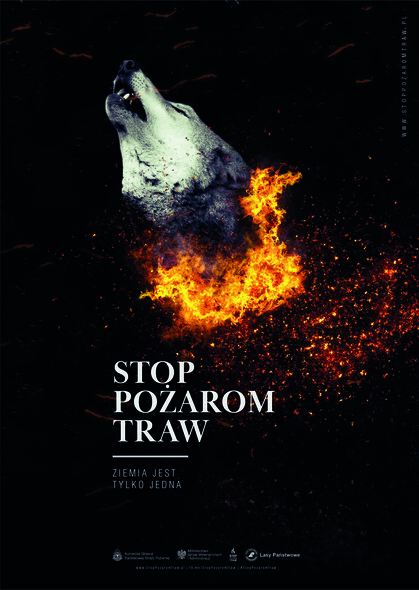 Ostrożnie z ogniem w lesie i przy lesie. Szczególnie wiosną