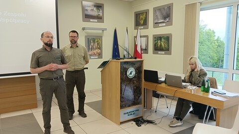 Mieszkańcy apelują o mniej wycinek w lasach