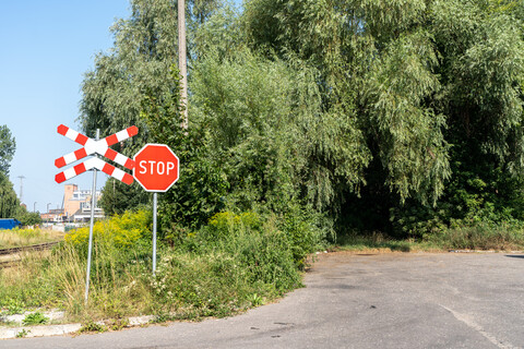 Na rzeczką, opodal krzaczka...