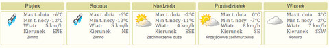 Nareszcie weekend: brydż, łyżwiarstwo i muzyka klasyczna