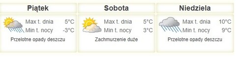 Nareszcie weekend: Imprezy walentynkowe i rewia kotów