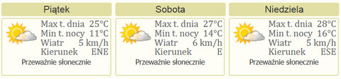 Nareszcie weekend: Ogrody Polityki, koncert EOK, Open Air Day i Noc Bibliotek