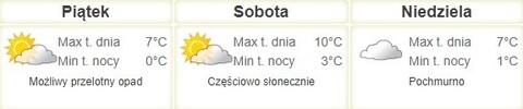 Nareszcie weekend: Rewia Kotów i koncerty