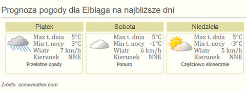 Nareszczcie weekend: warcząca wystawa, Morsy w kąpieli i zbiórka żywności!