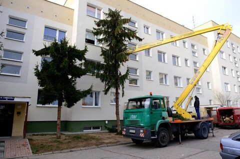 Nas nikt o zdanie nie pytał