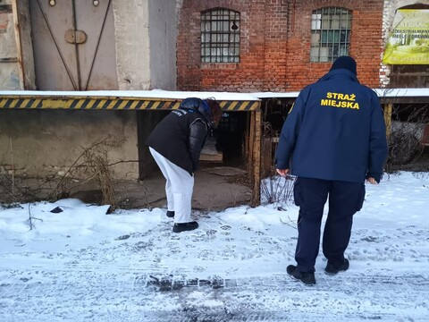 Nie wszyscy bezdomni chcą pomocy