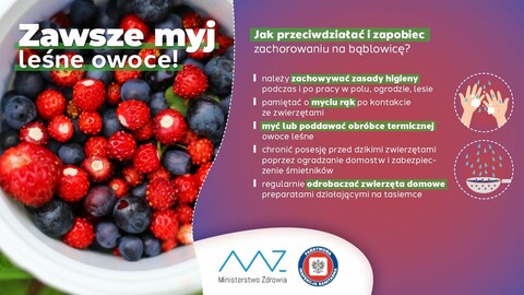 Niewidoczne zagrożenie - bąblowica