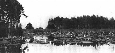 Historia okolic Elbląga: Od Cygan do Olszówki (odc. 121)