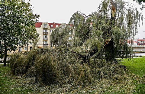 Ponad dwadzieścia interwencji strażaków w Elblągu i powiecie
