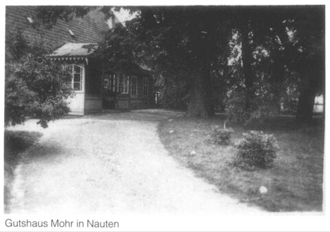Historia okolic Elbląga: Od Krykajn do Nawt (odc. 206) 