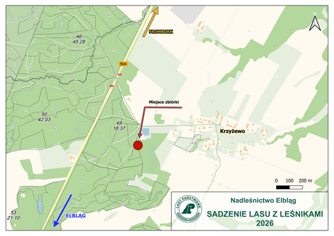 Sadzenie drzew z leśnikami
