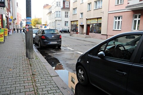 Ser szwajcarski w centrum miasta
