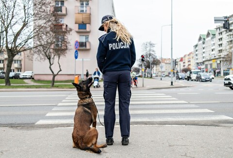 Spraw dotyczących zwierząt wpływa do nas coraz więcej