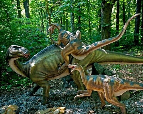 Sprawdź, kto wygrał wejściówki do Dino Parku