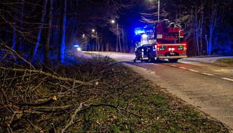 Strażacy interweniują