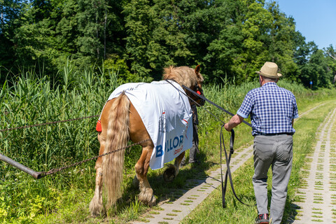 Tratwa, klacz i kanał