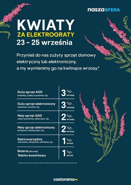 W Castoramie za elektrograty dostaniesz kwiaty! Czekamy 23-25 września