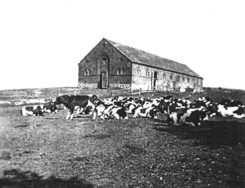 Historia okolic Elbląga: Morawy, Jurki i Wandowo (odc. 124)