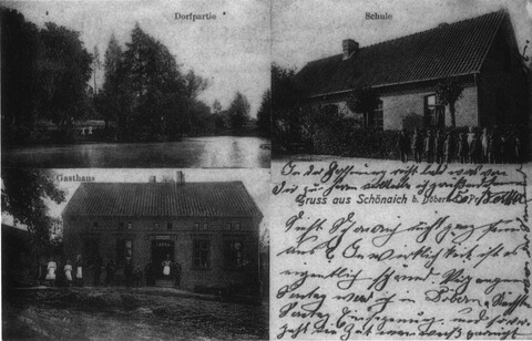 Historia okolic Elbląga: Od Siedliska do Dąbkowa (odc. 176) 