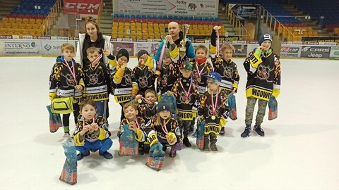 Wikingowie nadal walczą
