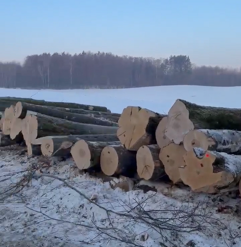 Czytelnik: najpierw piła, potem refleksja?