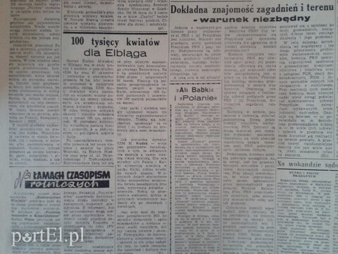100 tys. kwiatów dla Elbląga