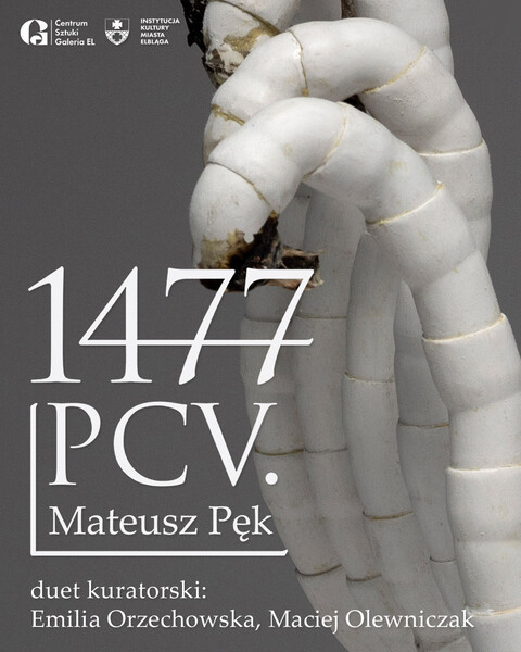 1477 PCV. w Galerii EL