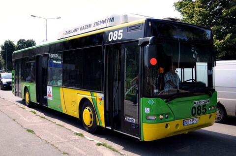 6, 8 i 31 wracają na swoje trasy