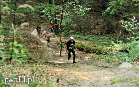 8 marca wystartuj w leśnym półmaratonie