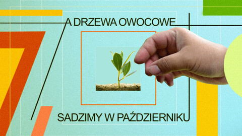 A drzewa sadzimy w październiku! Zielona akcja w Galerii EL.