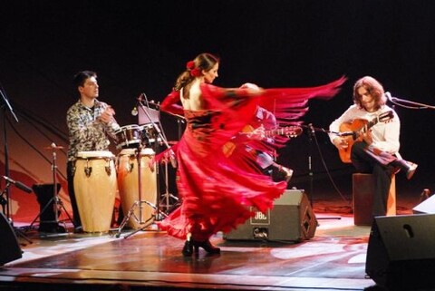 Ogniste tango, salsa, flamenco - wybierz coś dla siebie
