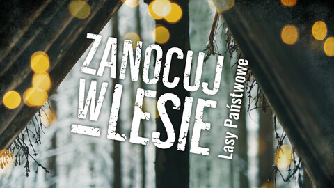 A może tak majówka z noclegiem w lesie?
